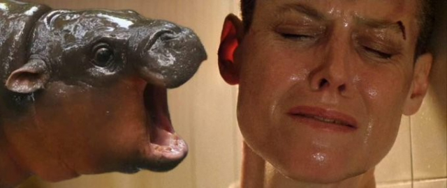 Photoshop of Ripley in Alien, where the beast's face is righr next to her's, but the beast is the cute baby pygmy hippo