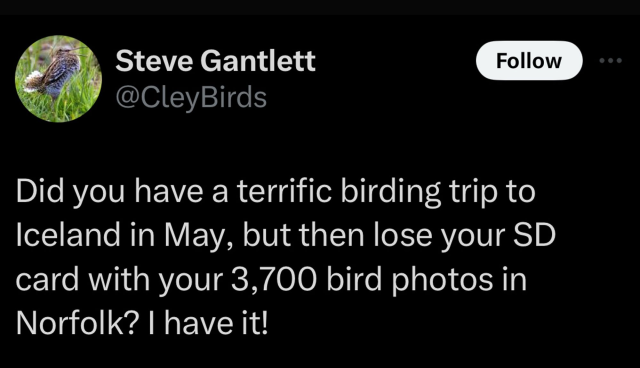 . D Did you have a terrific birding trip to Iceland in May, but then lose your SD card with your 3,700 bird photos in Norfolk? | have it! 