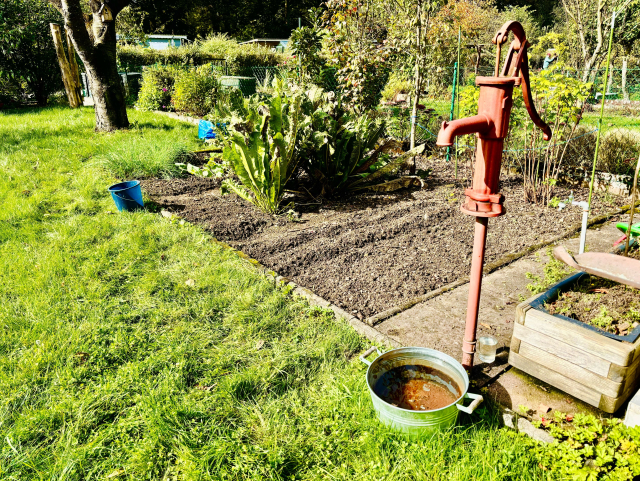 Auf dem Bild sieht man eine grüne Gartenlandschaft. Im Vordergrund steht eine rote manuelle Wasserpumpe, die auf einem Steinboden verankert ist. Vor der Pumpe befindet sich ein Metallbehälter mit Griffen, der teilweise mit rostigem Wasser gefüllt ist. Links daneben, auf der Rasenfläche, steht ein blauer Plastikeimer. Im Hintergrund sieht man eine Gartenparzelle mit einem Beet, auf dem die Erde vorbereitet und umgegraben wurde. Einige größere Pflanzen stehen am Rand des Beets. Im Hintergrund sind Hecken und Zäune zu erkennen, die die Parzellen voneinander trennen, sowie ein paar kleine Gartenhütten.