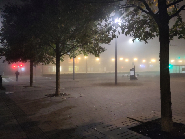 Red and green traffic light and lots of yellow street lights visible through the fog.