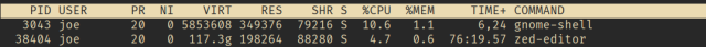 Screenshot of `top` showing zed VIRT memory usage of 117.3GB.