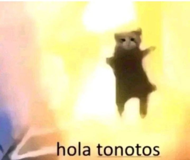 A Meme, featuring a cat flying off from a big explosion behind them, with some text in Spanish saying "hola tonotos", which translated is basically "hello fools" but mispelled. I love you fools.