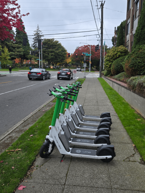 Photo of a Seattle sidewalk

6 Lime, green and white, electric scooters are set in a perfect row side by side from each other facing the street

These scooters block 80% of the sidewalk horizontally