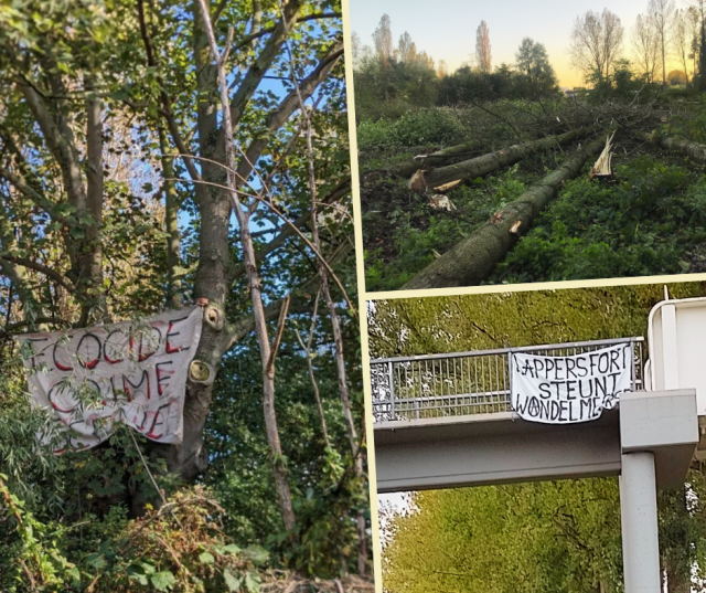 een kader met verschillende foto's. Op de Foto links is een spandoek tussen de bomen te zien waarop "Ecocide Crime" staat. 
Op de foto rechtsboven is een beeld te zien van de bomen nadat ze zijn omgehakt. Op de foto rechtsonder zien we een fietsersbrug waar een spandoek aan hangt met daarop "Lappersfort Steunt Wondelmeersen". De O van wondelmeersen is een omcirkelde A.