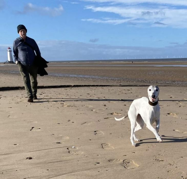 a wide open sandy beach, the sea far off, the blue sky and wispy cloud. In the foreground a white and grey whippet, jumping in sunshine, looking at the camera, open mouthed like she is laughing. Walking behind her is me, blue woolly hat, specs and grey beard, hands in pockets. Behind me a white lighthouse in the distance 