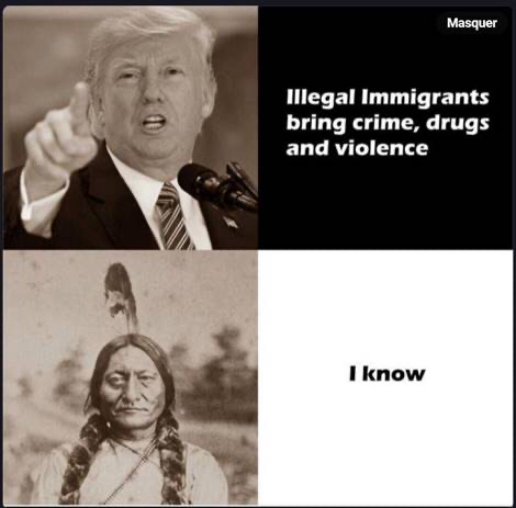 two panel meme with Trump saying “Illegal immigrants bring crime, drugs and violence” followed by a Native American saying “I know”