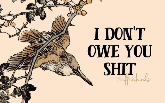 A painting of a bird beside the text "i don't owe you shit"