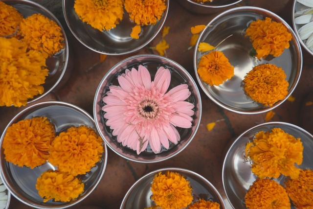 Flower offerings