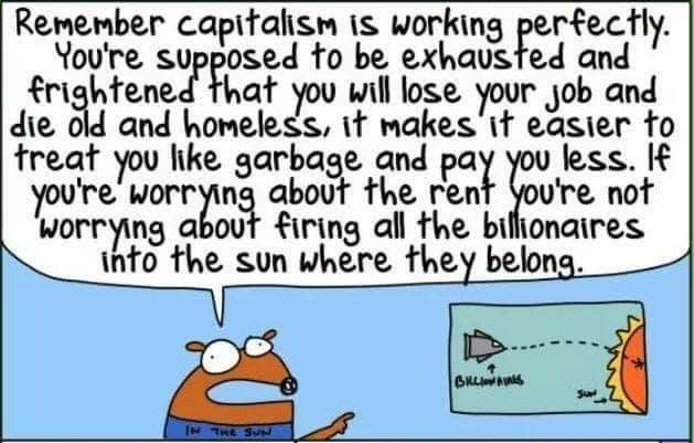 A panel of a comic by First Dog on the Moon: A cartoon dog points at an illustration of a rocket ship flying into the Sun while saying, 

"Remember capitalism is working perfectly. You're supposed to be exhausted and frightened that you will lose your job and die old and homeless, it makes it easier to treat you like garbage and pay you less. If you're worrying about the rent you're not worrying about firing all the billionaires into the sun where they belong.”