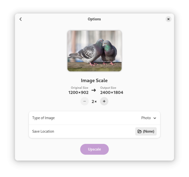 Screenshot of "Upscaler"