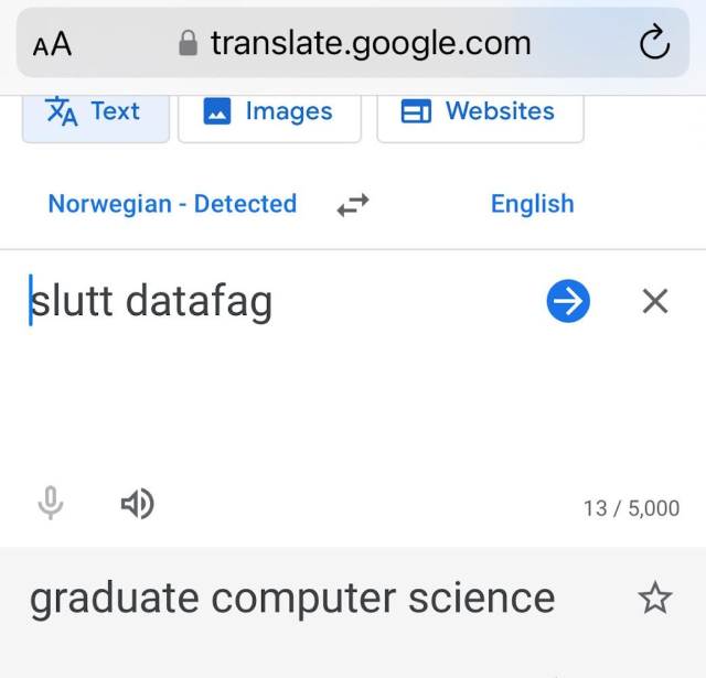 google translate for slutt datafag -> computer science graduate