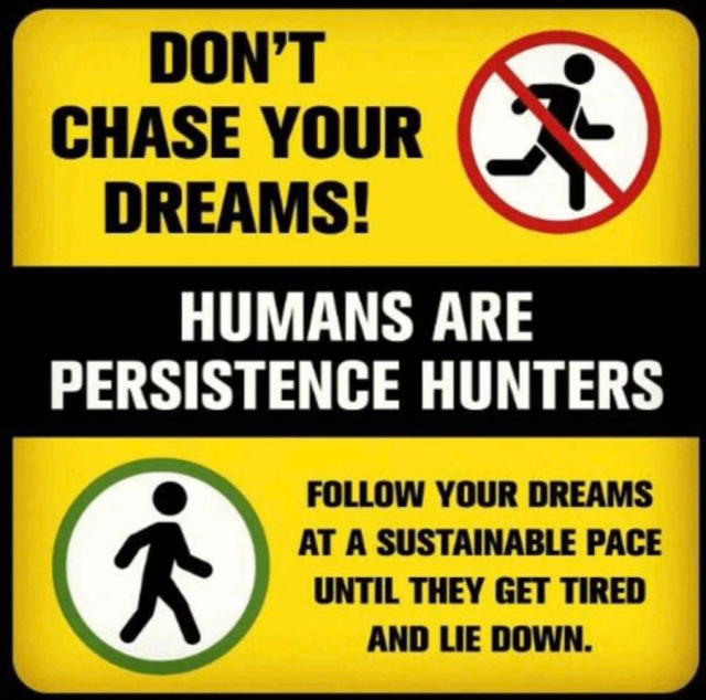 Don't chase your dreams! Humans are persistence hunters. Follow your dreams at a sustainable pace, until they get tired and lie down.