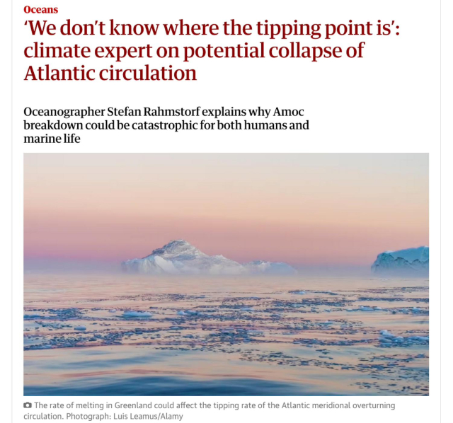 Screenshot from top of linked article. Headline says: "We don't know where the tipping point is. Oceanographer Stefan Rahmstorf explains why Amoc breakdown could be catastrophic for both humans and marine life." Below this is a photo of ice melting in Greenland.