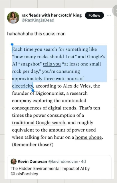 A post by rax 'leads with her crotch' king @RaxKingIsDead

The post says,

"hahahahaha this sucks man

Each time you search for something like "how many rocks should I eat" and Google's AI "snapshot" tells you "at least one small rock per day," you're consuming approximately three watt-hours of electricity, according to Alex de Vries, the founder of Digiconomist, a research company exploring the unintended consequences of digital trends. That's ten times the power consumption of a traditional Google search, and roughly equivalent to the amount of power used when talking for an hour on a home phone. (Remember those?)

Kevin Donovan @kevindonovan.

The Hidden Environmental Impact of Al by @LoisParshley"