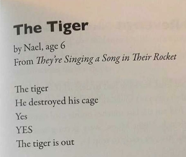 The Tiger
by Nael, age 6
From They're Singing a Song in Their Rocket
The tiger
He destroyed his cage
Yes
YES
The tiger is out