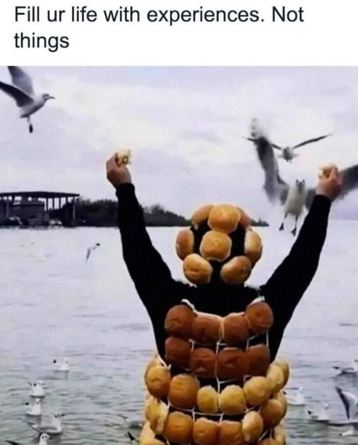 a meme with the top text "fill ur life with experiences. not things"

the picture below shows a person on the edge of a large body of water with many seagulls. the person is covered from head to toe in hamburger buns. several seagulls are already swooping in to take a nibble.