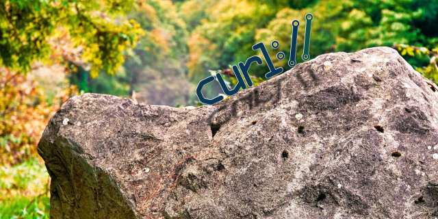 a curl logo on a rock