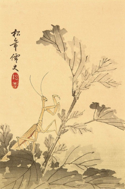 Praying mantis on a plant, by Suzuki Shonen (ca. 1890).