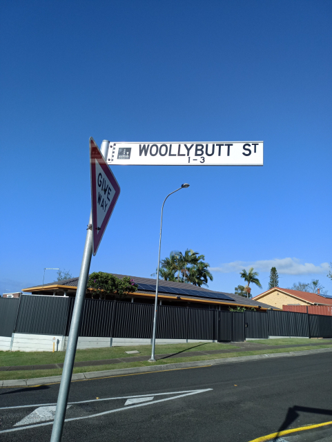 A street sign against a blue sky which reads "Woollybutt At)