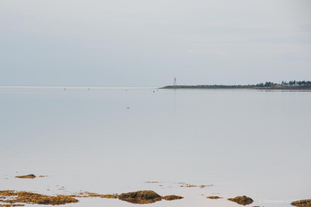 Very still water is reflecting the white and grey clouds. In the foreground a few seaweed-clad rocks are poking up out of the water.  In the distance, to the right, a spit of land is sticking out into the water with a stilt lighthouse on the point.  We can see some channel marker buoys.