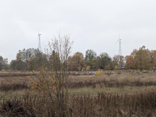 A view from the train showing two windmills.