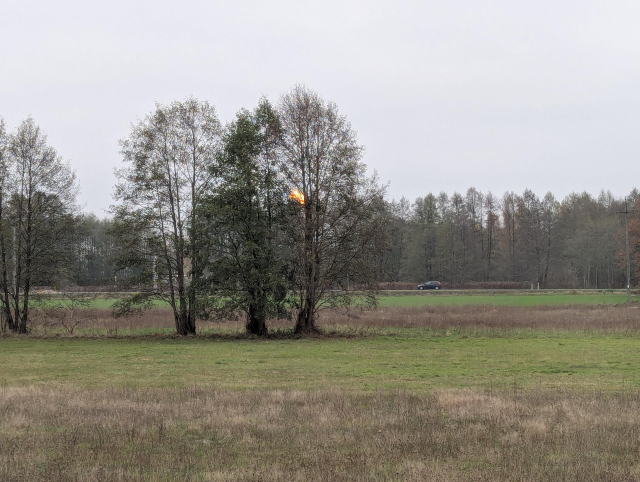 A view from the train showing a flame burning behind a tree.