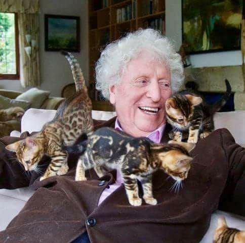 Tom Baker wearing a brown cardigan and smiling as three orange-and-black Bengal(?) kittens walk all over his chest and shoulders.