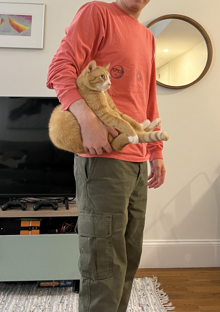 Photo of an orange cat being held by its butt and it looks like it's just a satchel.He is just sitting there happily looking forward while being carried. On the wall a round mirror and a small abstract art piece can be seen above a flat screen tv with gaming console. Underneath the entertainment center on a rug, there's a case for what looks like a movie called Pandemic.