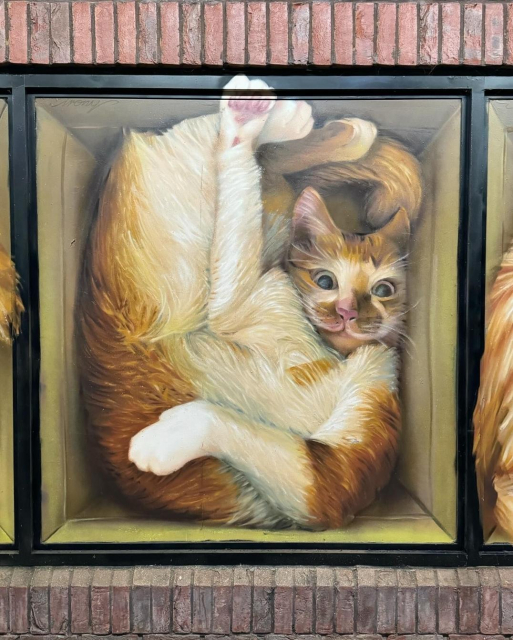 Close-up of a mural by street artist IRONY in Kingston Upon Thames, UK, for The Royal Borough of Street Art, featuring a realistic depiction of an orange and white cat squeezed into a square box. The cat is curled up in a tight space, with its limbs twisted playfully, and its large, bright eyes staring forward. The detail in the cat's fur and expression captures its playful yet slightly awkward position, adding a humorous and lifelike charm to the artwork. The realistic style emphasizes the softness of the fur against the hard edges of the frame.