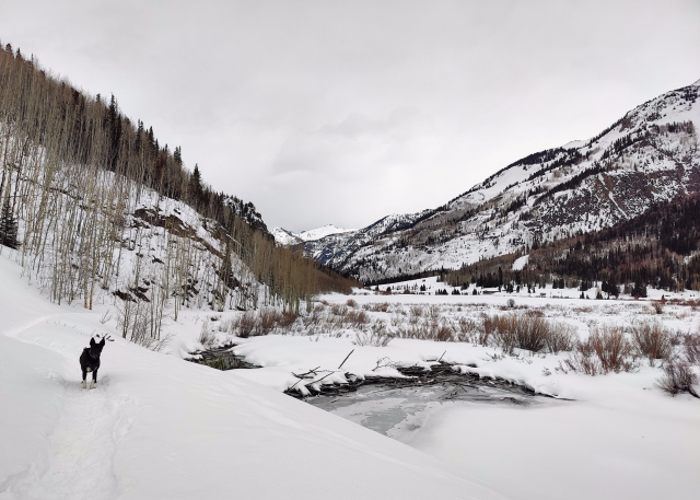 A snowy mountain scene. I'm on a snowshoe path empty besides my  dog, there are small icy ponds to my side and forested mountainsides around me. The sky is so grey and the ground is so white there's not a super obvious separation except where the trees make boundaries between sky and earth. 