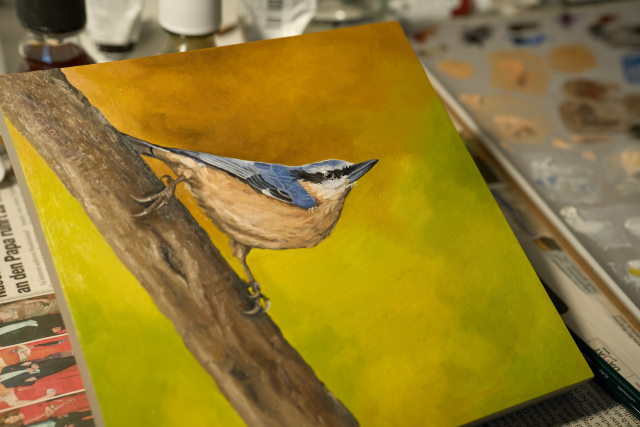 The finished painting of an European Nuthatch, now with all the detials light highlight in the eye. In the backgound of the photo part of the palette is visible.