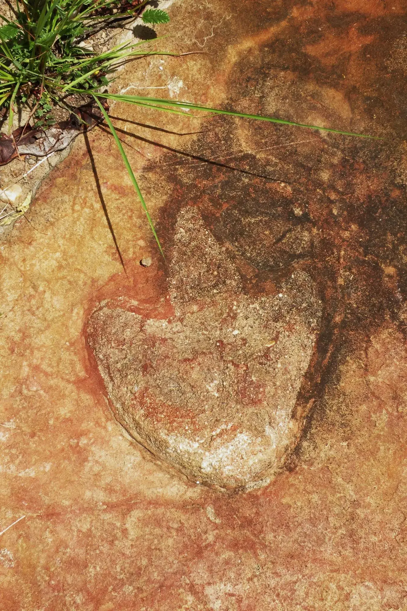 Researchers discovered theropod footprints in the Sousa Basin of northeastern Brazil.