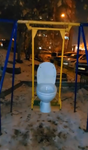 Toilet swing