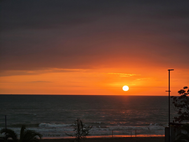 A mesmerizing sunrise over the sea, with the sun glowing in vibrant orange hues as it ascends above the horizon. Gentle waves ripple across the darkened water, while the sky transitions from deep gray to fiery shades of orange and gold, creating a dramatic and tranquil scene. Silhouettes of trees and a lamppost frame the image, adding a touch of grounded detail to the serene coastal vista.