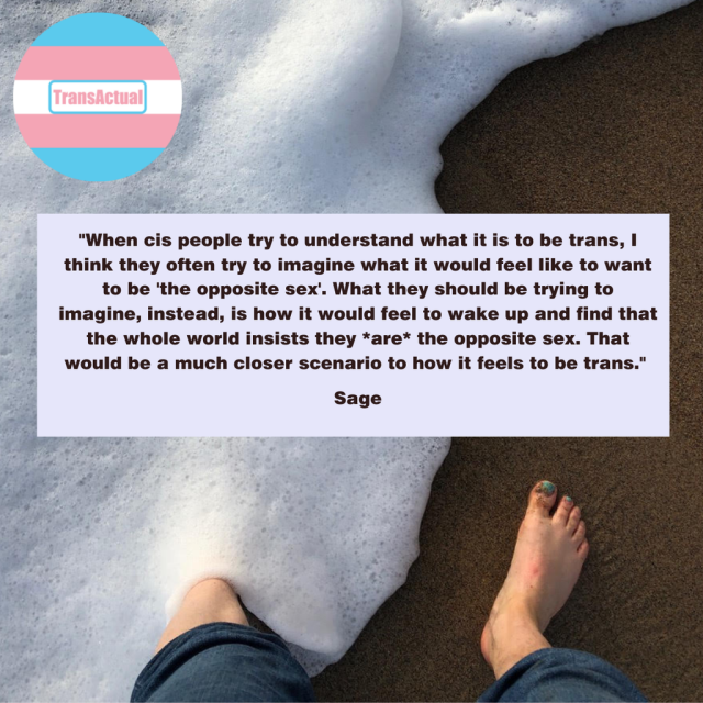 (Picture: Sages feet in water. Text Says: "When cis people try to understand what it is to be trans, I think they often try to imagine what it would feel like to want to be 'the opposite sex'. What they should be trying to imagine, instead, is how it would feel to wake up and find that the whole world insists they *are* the opposite sex. That would be a much closer scenario to how it feels to be trans." Sage)