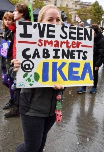 Pic of lady holding a sign that reads 'I've seen smarter cabinets at IKEA.