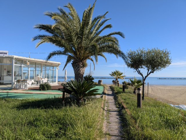 A serene beachside café nestled among lush palm trees and green grass, with a wooden pathway leading to the sandy shore and the vast, tranquil sea, beyond under a clear blue sky.