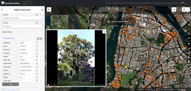 A map view with many orange dots. This is the iD-editor used to edit OpenStreetMap.

At the bottom left, a picture of a tree is shown.