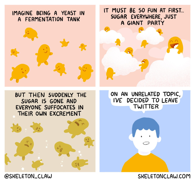4 panel comic

Imagine being yeast in a fermentation tank. 

It must be so fun at first... Sugar everywhere, just a giant party. 

But then suddenly the sugar is gone and everyone suffocates in their own excrement. 

On an unrelated topic I've decided to leave Twitter. 