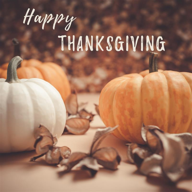 Orange and white pumpkins and brown leaves with the words "Happy Thanksgiving" written in white at the top.