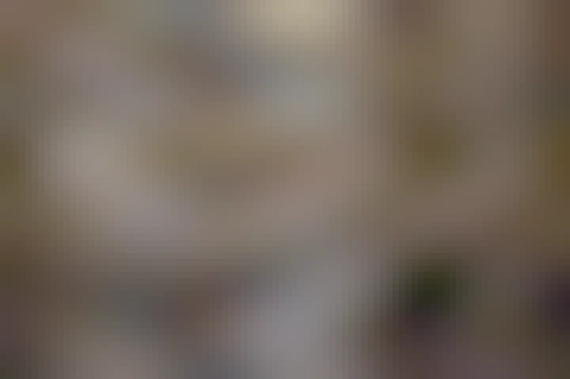 Internal view of the Notre Dame that just reopened after the 2019 fire.