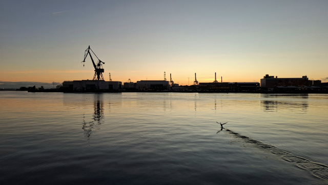 Water’s edge, mid-city Aarhus, Denmark, shortly before sunrise. The sky is grey-blue, cloudless with a thick stripe of orange in the horizon. On the opposite dock, almost silhouettes, warehouses..A 75m crane, angular like a monstrous metal giraffe, dominates. The sea ripples calmly, dark blue ripples with orange and pink reflected on the surface. Just to the right, breaking the calm, a duck photobombed the sunrise, suddenly taking off, leaving a runway of water rings in a perfect trail. We see it here just alighting from the water, wings cocked. From this perspective, it's almost as if it's flapping at the big crane in greeting.