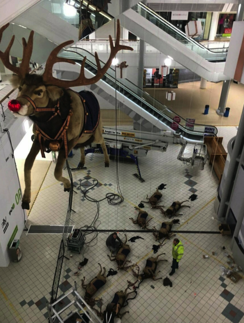 A mall Christmas display showing Rudolf the red nosed reindeer in the air and all the other reindeer on the ground.

It kinda seems like maybe Rudolf killed them all. But probably they have just not put the rest of the reindeer up yet. Rudolf looks stone cold and determined. 