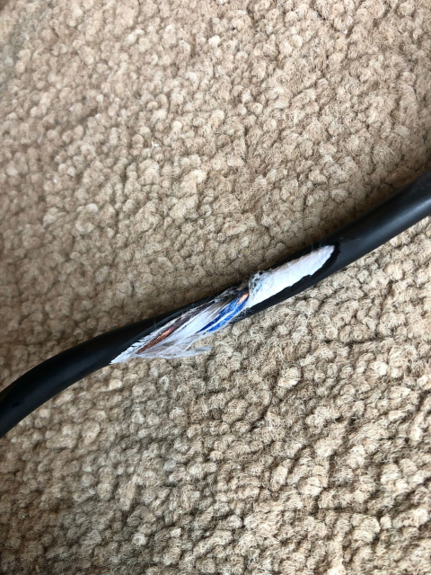 a close-up view of a damaged black cable on a textured carpet. The black outer insulation of the cable is split open, exposing the inner wires. Several colored wires can be seen encased in their own thin insulation. and filler fibers that look frayed around the exposed wires are visible. The damage to the cable appears to be concentrated in one area, with the rest of the cable intact on either side of the split. The carpet has a brownish hue with a loop pile texture. 