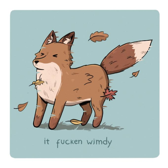 Illustration of the “It Fucken Wimdy” meme by tumblr user userdeboracabral.