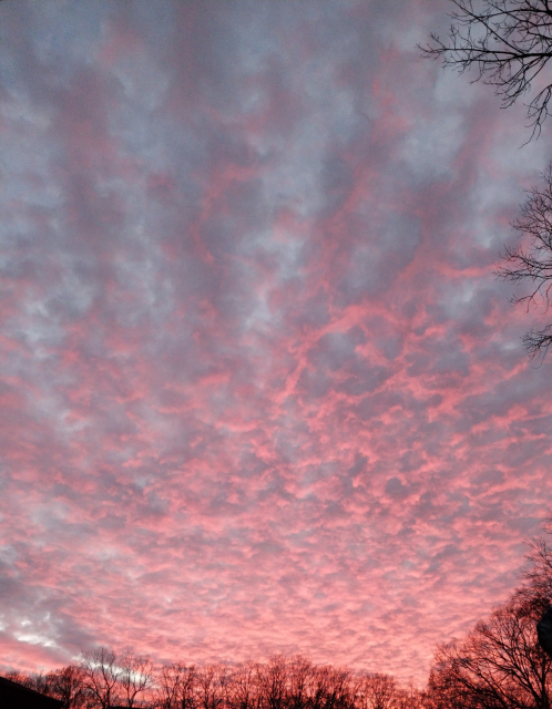 Sun setting in the evening sky is showing red tinted clouds, which look like tangled webs of lightening bolts. Barren tree limbs are in the background.