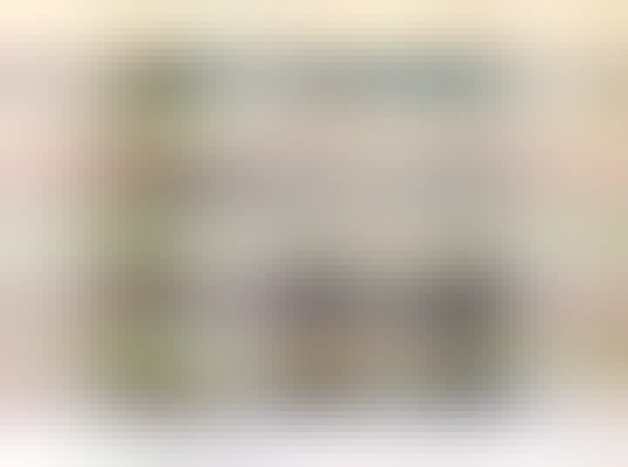 A picture of a Macintosh Quadra 905, looking suspiciously like someone's just chopped the middle out of a Quadra 950, which is precisely what Apple's favourite industrial designer did.