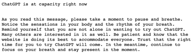 Message: “ChatGPT is at capacity right now”