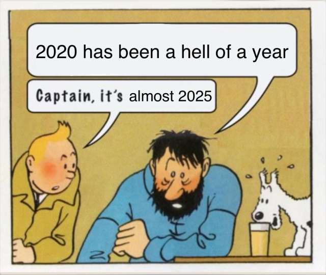A meme of TinTin speaking to Captain.

Captain, looking defeated, says "2020 has been a hell of a year"

TinTin replies "Captain, it's almost 2025”