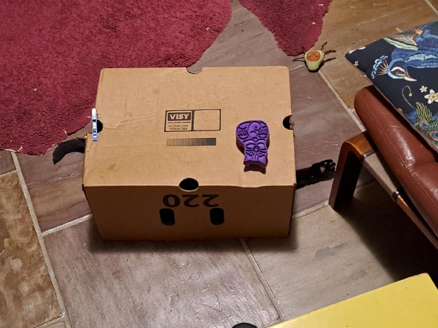 An upside down cardboard box on a stone floor, with the tip of a black tail sticking out from one end, and a black upturned paw, complete with toe beans, out the other